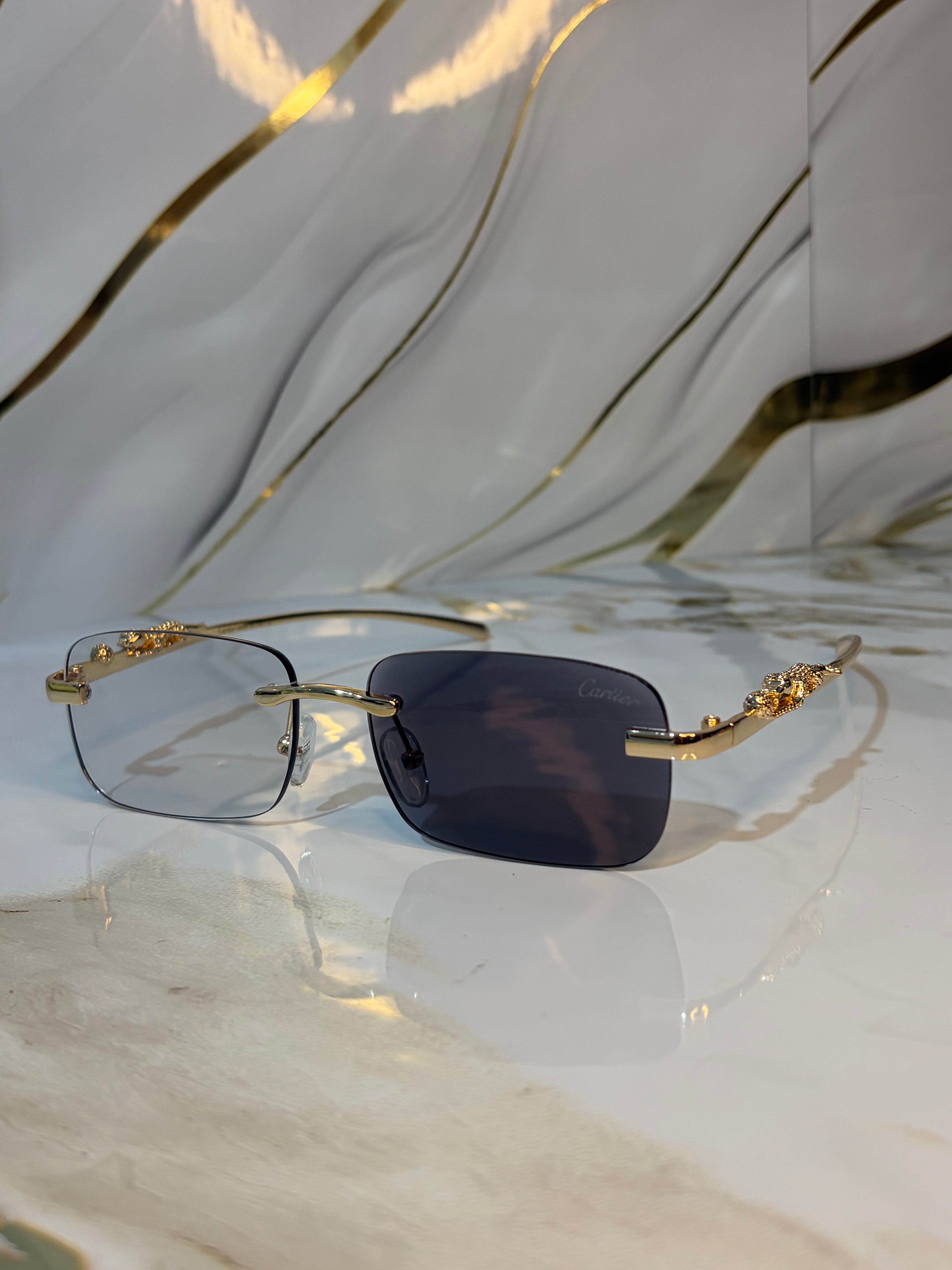 Changez de Style avec les Lunettes Photochromiques